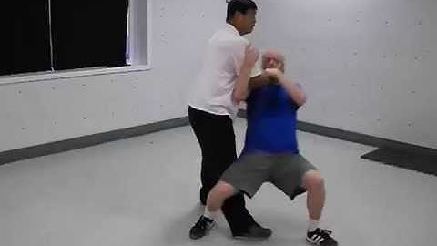 Fighting Arts - Yin Style Bagua - Pushing Attacks
