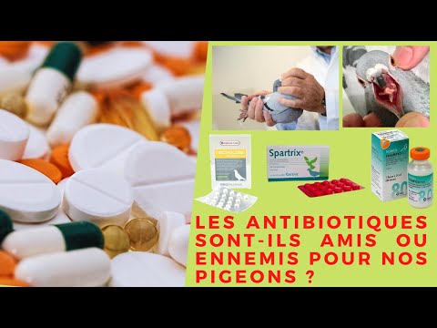 Vidéo: Les antibiotiques peuvent-ils donner soif ?