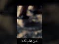 م ست ر ع ن ه الو ج وه يسوع مليكنا ماريان جورج  