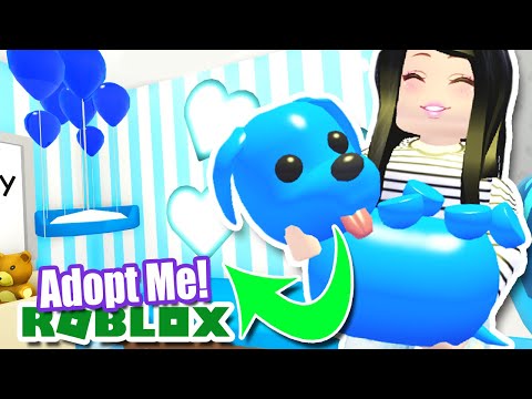 I Built An Only Blue House For My Blue Dog In Adopt Me Roblox Pets Youtube - roblox adopt me pets blue dog