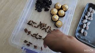 Sorting and classifying objects around us