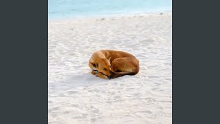Tides' Harmony for Tails' Bliss