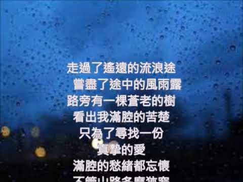 校園歌曲/葉佳修好歌   流浪者的獨白     朱慧珍