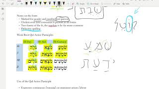 Chapter 21 Qal Active Participles
