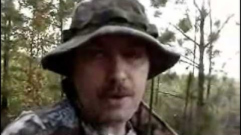 Deer hunting tips - oak trees