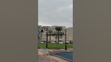 سورة النازعات (وأما من خاف مقام ربه)