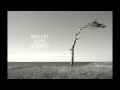 Realest Alive - Ryan Notes
