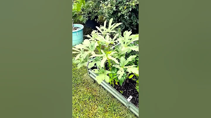 I Saw it!! In My Garden #tnog #garden #spring2023 #critter #snake