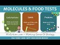 Molecules and food tests - GCSE Biology (9-1)