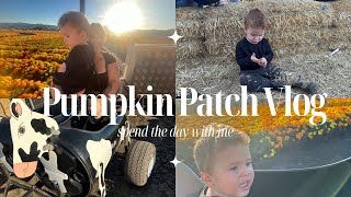 Pumpkin Patch Day🎃 Spina Farm 2023