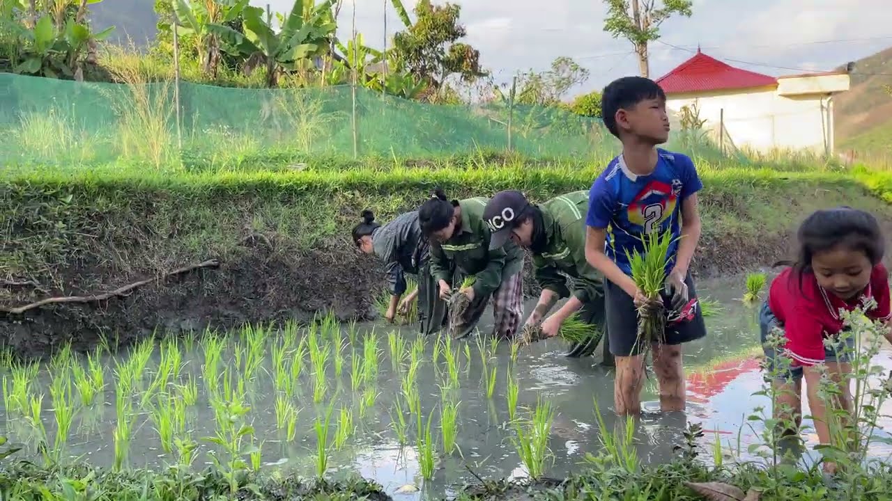Buổi chiều của gia đình mình đây mọi người.