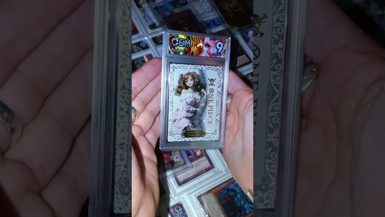 ONE PIECE serialized 