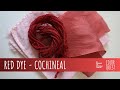 How to make red dye with cochineal  organic color  wool silk cotton  rainbow palette