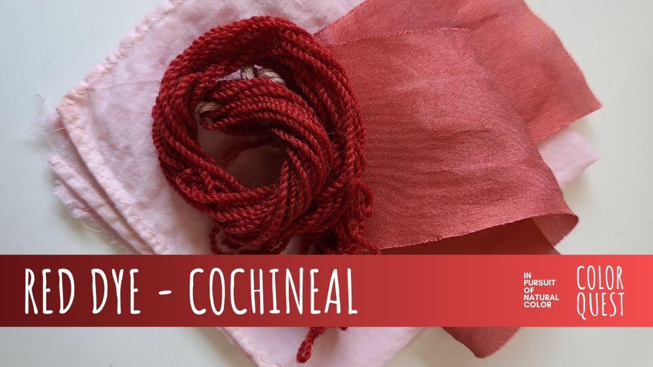 HOW TO MAKE RED DYE WITH COCHINEAL, ORGANIC COLOR, WOOL SILK COTTON