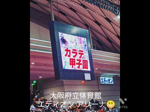 第15回 JKJO全日本ジュニア空手道選手権大会～👊✨