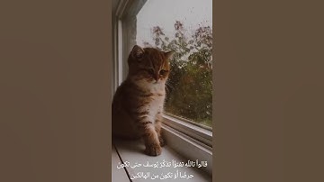 ارح سمعك تلاوه هادئة تريح الأعصاب 🎧😴القارئ :مصطفى جبل