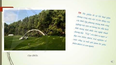 11  NT ĐƯƠNG ĐẠI VN P1