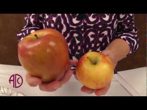 Healthy portion sizes Are you eating too much ADC