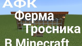 :      Minecraft |  Minecraft Pocket Edition