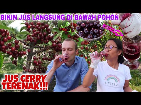 BIKIN JUS PAKAI BUAH CERRY LIAR DI PINGGIR JALAN | NIKMAT SEKALI 🤤