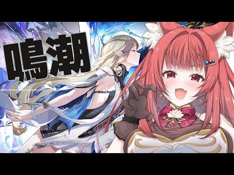 【 #鳴潮 2.5 】まさかの星声コード配布！参加者募集🎶はじめてのマルチ✨【 WuWa #wutheringwaves 　】