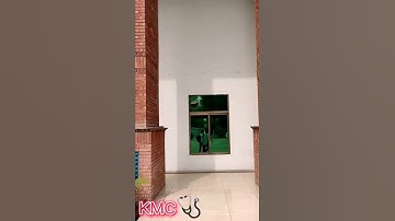 Khyber medical college | KMC | MDCAT 2022 | PMC updates | MBBS life | Life in Medical College.