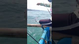 Epic strike at sea with friends! Fresh fish, salty breeze, and pure excitement #seafishing #fishing