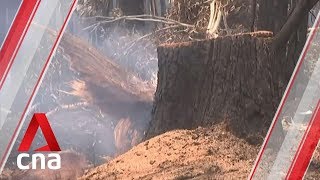 Australian government has no plans to further slash carbon emissions despite devastating bushfires