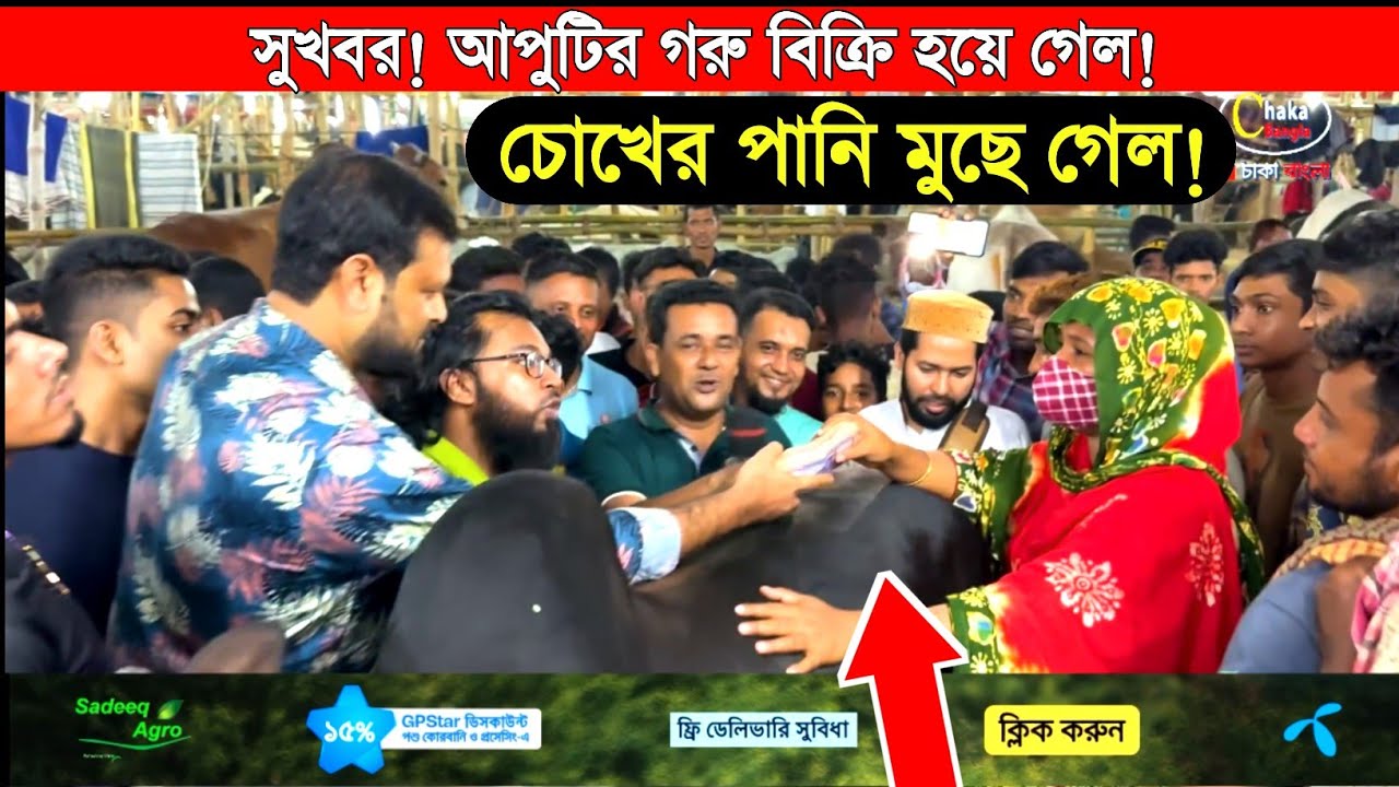 Альхамдулиллах! Аллах услышал мои молитвы! Корова моей невестки из Рангпура была продана, и слёзы...