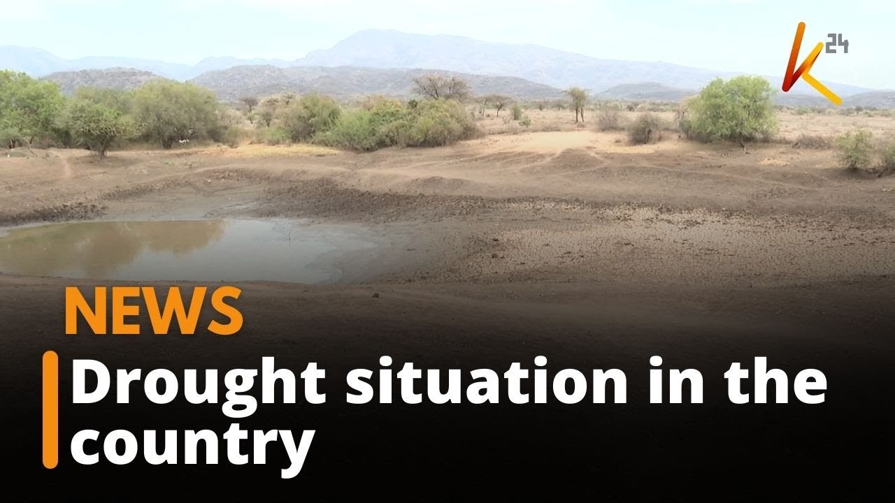 The drought situation worsening in the semi arid and arid counties ...