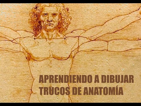 Aprendiendo a dibujar: Anatomía