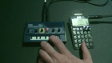 #jamuary2019 d09 PO-20 Monoton Duo