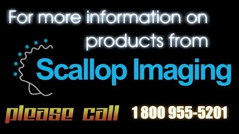 Scallop Imaging Manufacturer Demo from Surveillance-Video.com