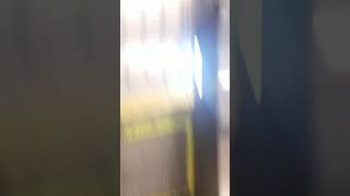 散歩2020120908