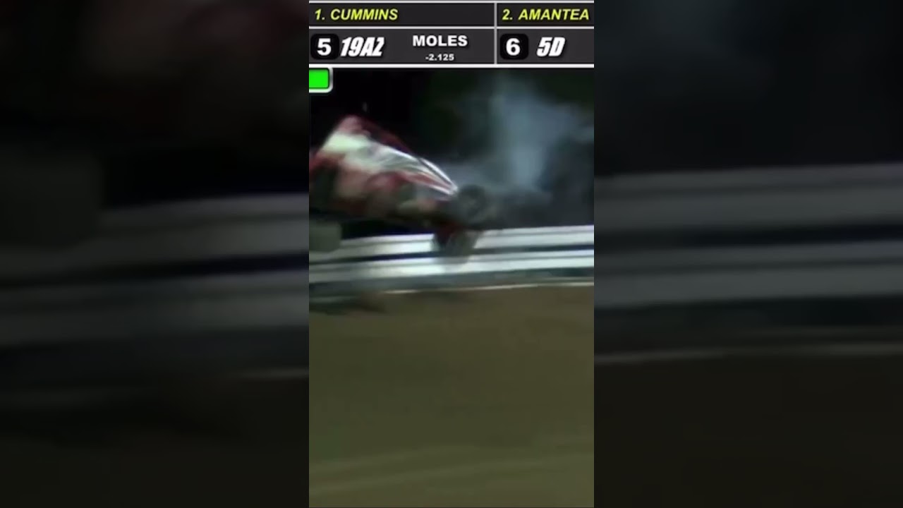 Zach Daum flips out of the speedway at ocala 