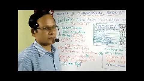 XII Bio Botany and Botany Chapter 3 Chromosomal basis of inheritance Three point test cross  Video