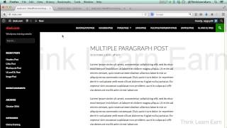 Wordpress Essentials 12 Customize Theme Settings