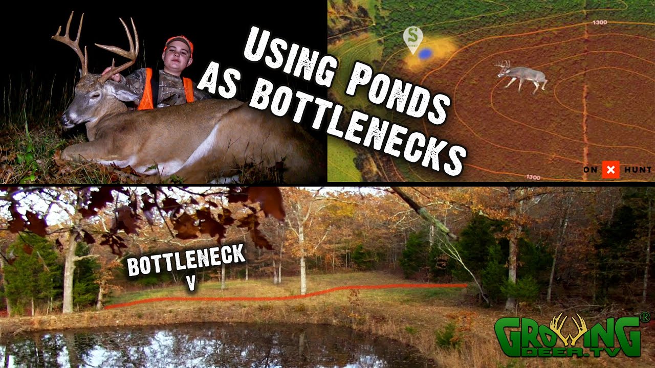 This Young Hunter Tagged a Buck Using a Pond as a Pinch Point Deer Season 2020 (586) YouTube