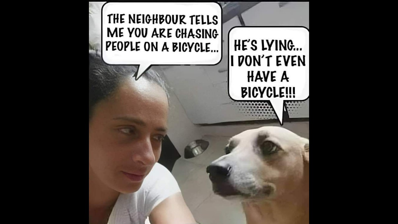 Memes For Giggles - Episode 94 - Funniest Memes On The Internet, Try Not To Laugh