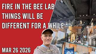 Fire in The Bee Lab - Things Will Be Different For a While - Jacksonville FL Zone 9b