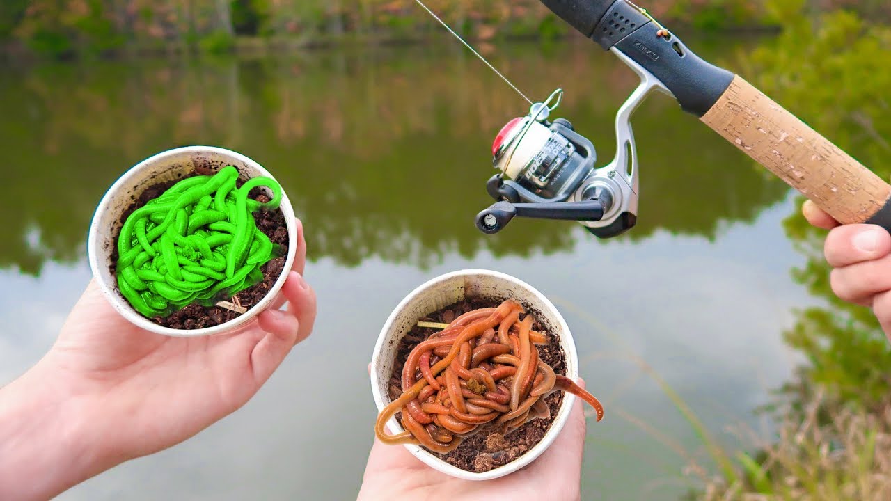 LIVE GLOW Worms vs BIG Livebait Worms (WALMART Fishing) 