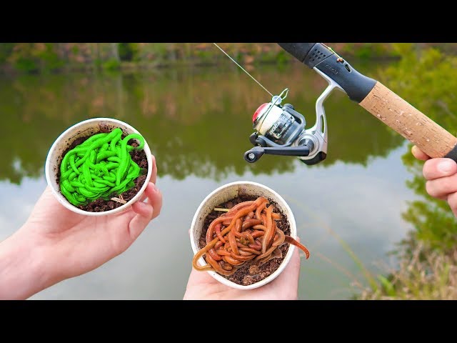 LIVE GLOW Worms vs BIG Livebait Worms (WALMART Fishing