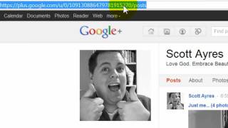 Google+ Wordpress plugin