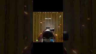 Paintball Damages Shipping Container Walls - Staging 20260121