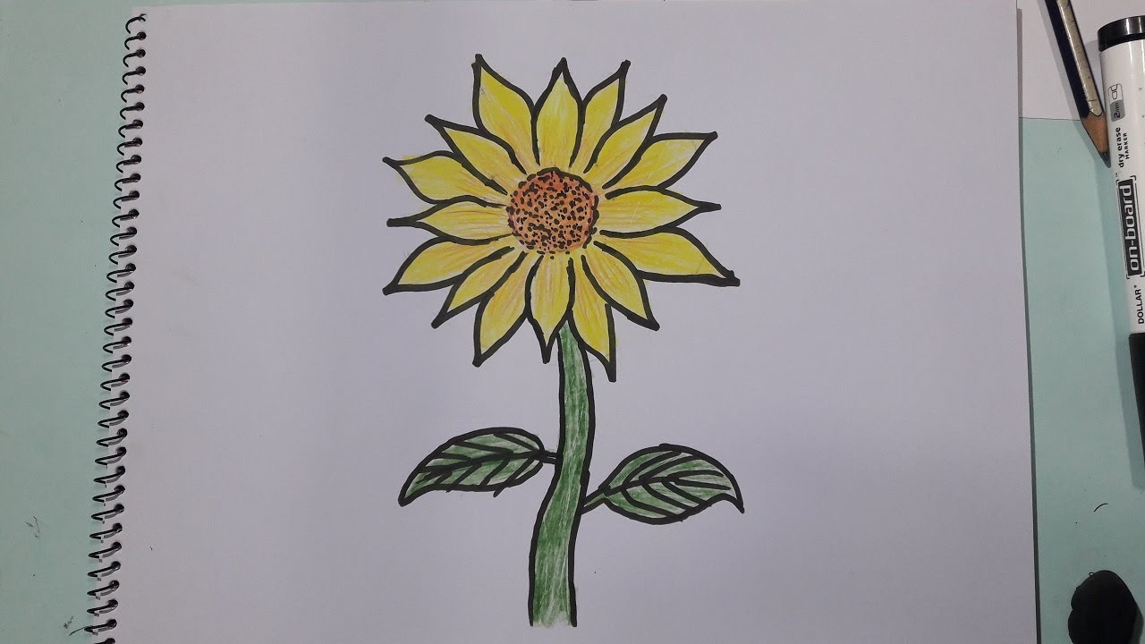 Featured image of post Sunflowers Drawing Step By Step - Sunflowers are often associated with happiness, and they symbolize adoration and loyalty.