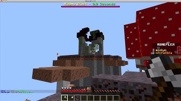 Fly hacking chicken?~~Mineplex SSM