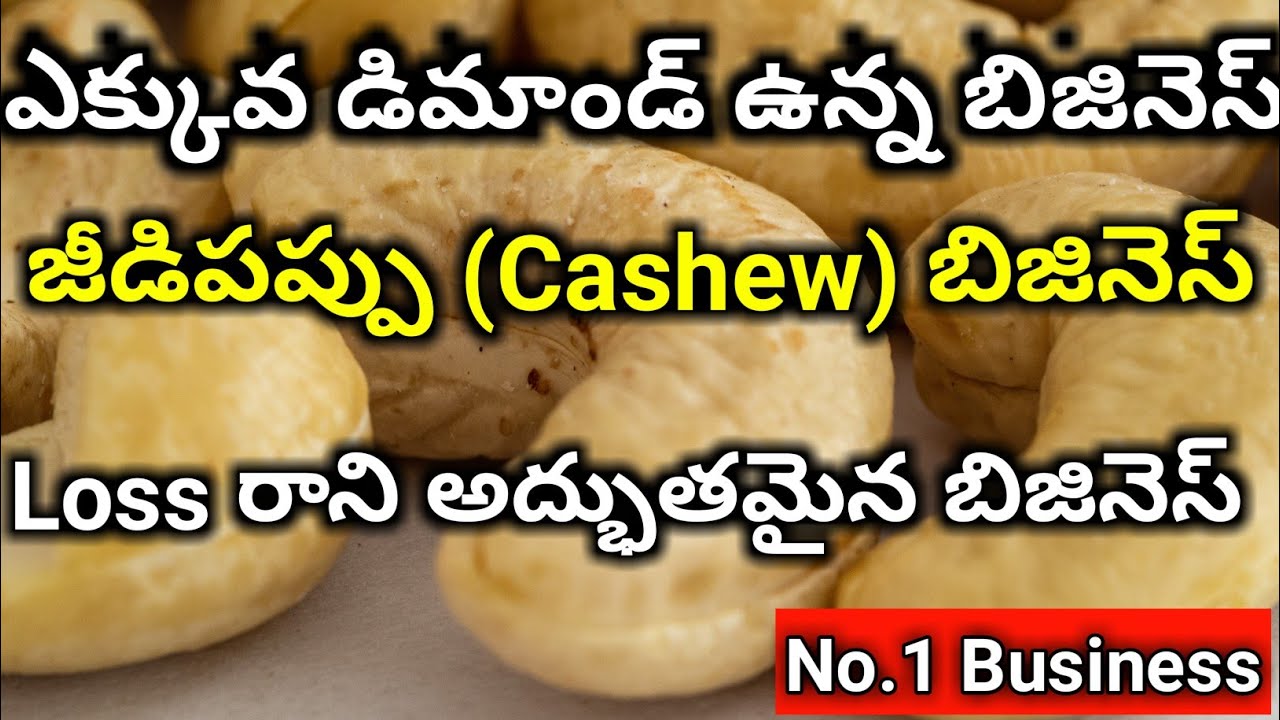 CASHEW BUSINESS Business ideas2020 telugu business ideas/New