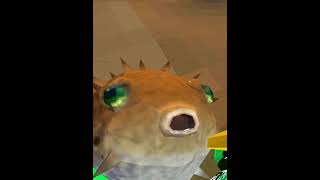 Pufferfish eating carrot ￼