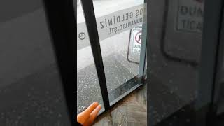 Bird seeks refuge from hailstorm