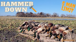 Duck Hunting Halloween Weekend | Wisconsin Duck Hunting | 920Waterfowl